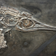 Image for article titled A Triassic Beast Brews Up A Surprisingly Gentle India Pale Ale